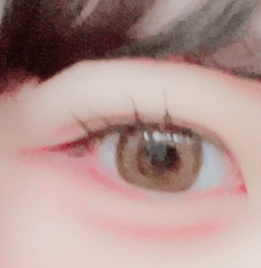 レビュー写真