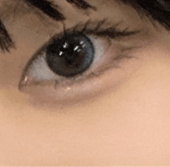 レビュー写真