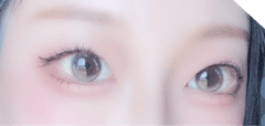 レビュー写真