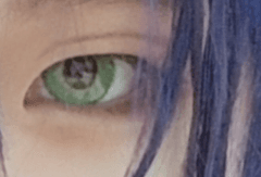レビュー写真