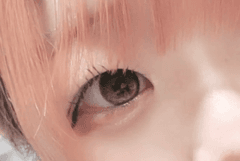 レビュー写真