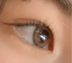 レビュー写真