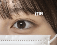 レビュー写真