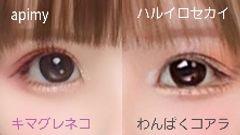 レビュー写真