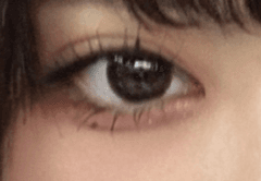 レビュー写真