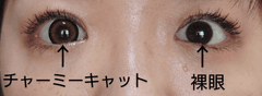 レビュー写真