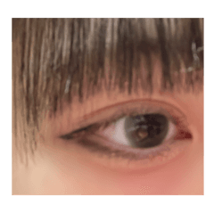 レビュー写真