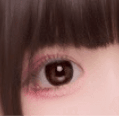 レビュー写真
