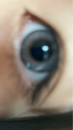 レビュー写真
