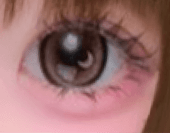 レビュー写真