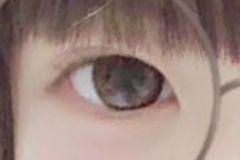 レビュー写真