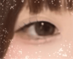 レビュー写真