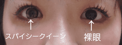 レビュー写真