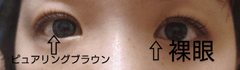 レビュー写真