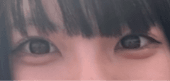 レビュー写真