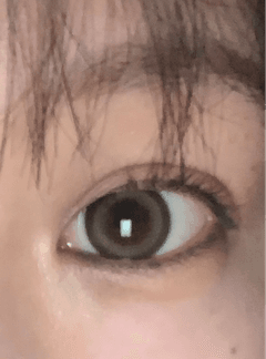 レビュー写真