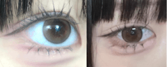 レビュー写真