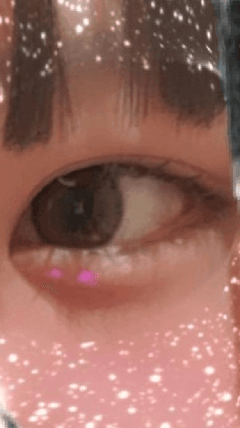 レビュー写真