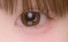 レビュー写真