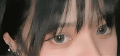 レビュー写真