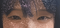 レビュー写真
