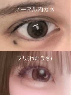 レビュー写真