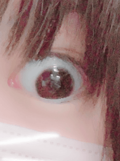 レビュー写真