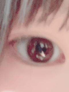 レビュー写真