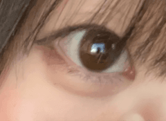 レビュー写真