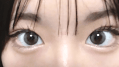 レビュー写真