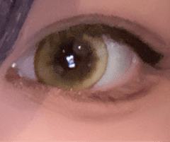レビュー写真