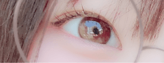 レビュー写真