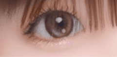 レビュー写真