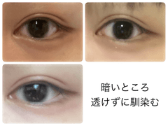 レビュー写真