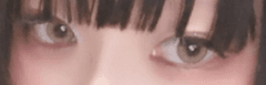 レビュー写真