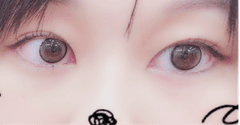 レビュー写真