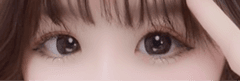 レビュー写真