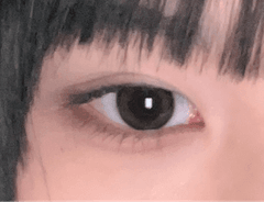 レビュー写真
