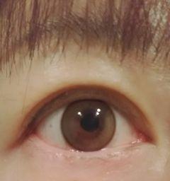 レビュー写真