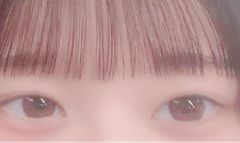レビュー写真