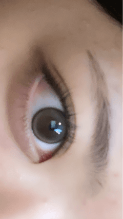 レビュー写真