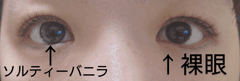 レビュー写真