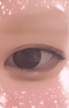 レビュー写真