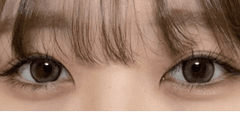 レビュー写真