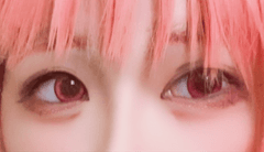 レビュー写真