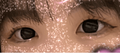 レビュー写真