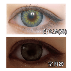 レビュー写真