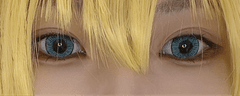 レビュー写真