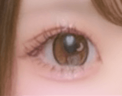 レビュー写真