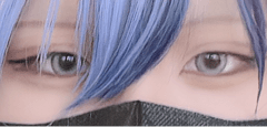 レビュー写真